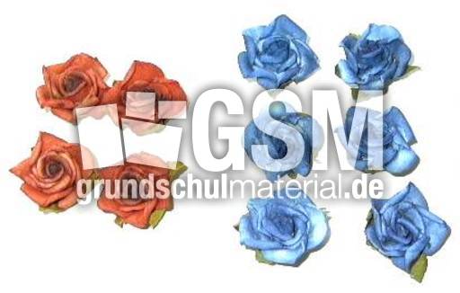 Blumen4+6.jpg